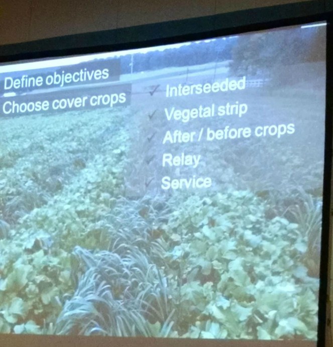 Cover crops