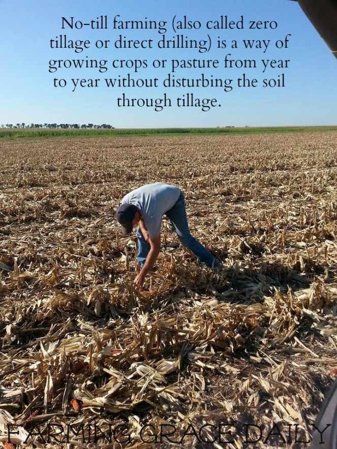 no till farming