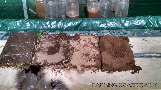 no till rain simulator dirt