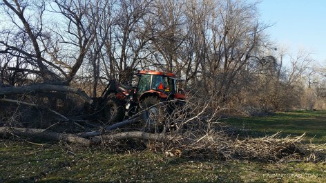 Tractor trees and farming
