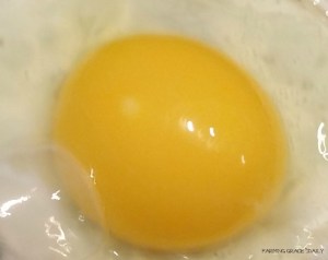 yellow egg yolk farm fresh