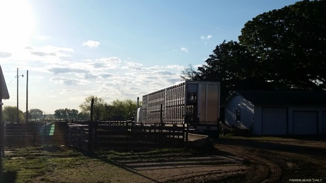 1126a947-0b15-45f2-8e80-8b2cf40f2963