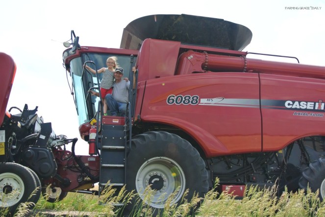 2016 Wheat Harvest Annual photo