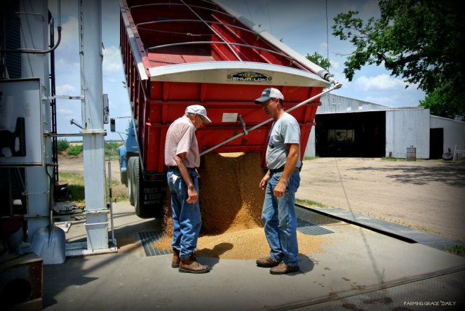 Generational Farming reduced