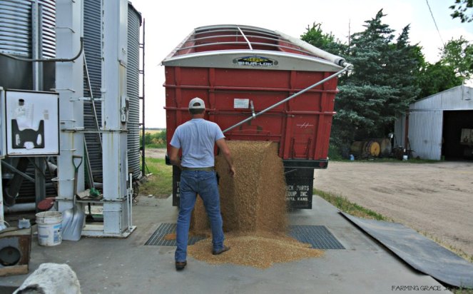 unloading wheat reduced