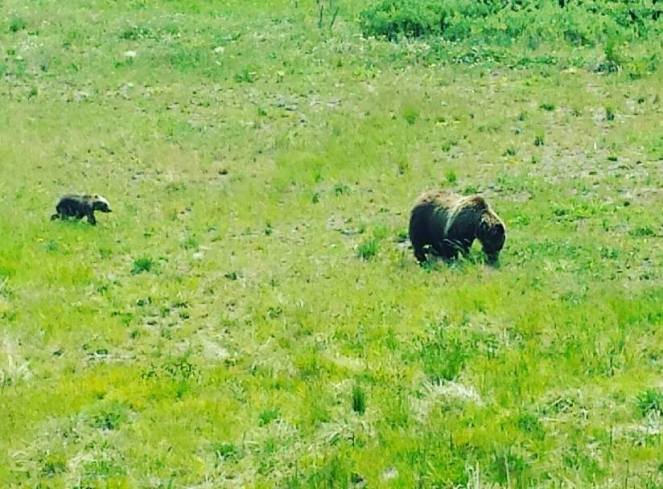 13754602_10206635224625364_8217976904306214474_n