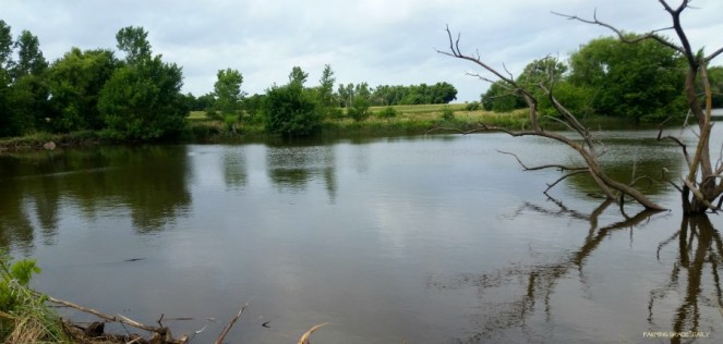 Farm pond water