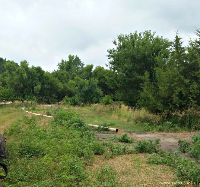 irrigation plastic pipe