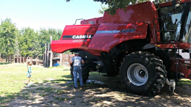 case Ih 6088 combine corn harvest