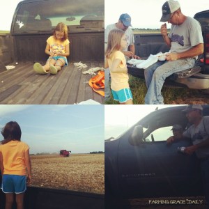 harvesting-in-the-field-dinnertime-harvest-meals-farm