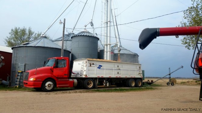 Wheat hauling 2017 March