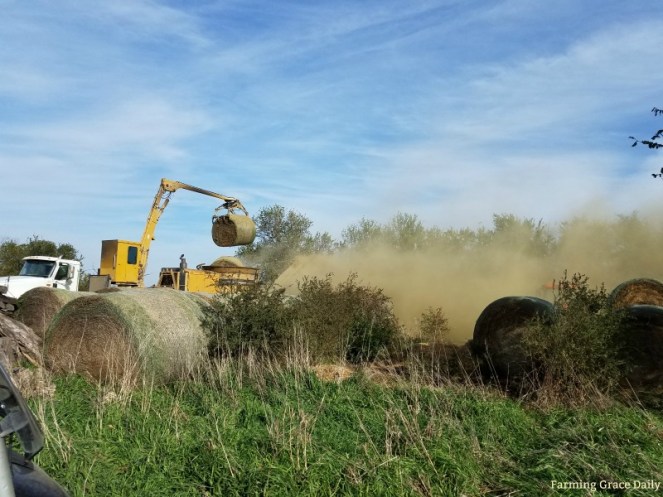 Hay Grinding