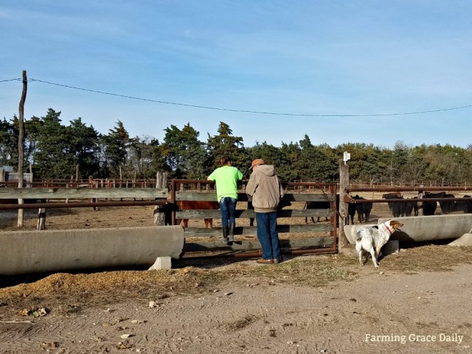 Family Generations Farming