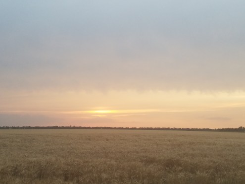 20180612_202415 1.jpg