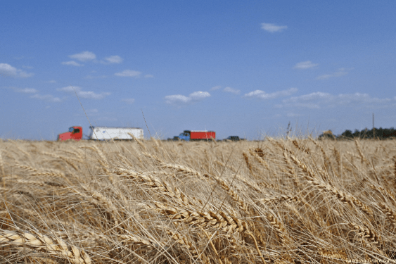 Wheat view Eddies Trucks