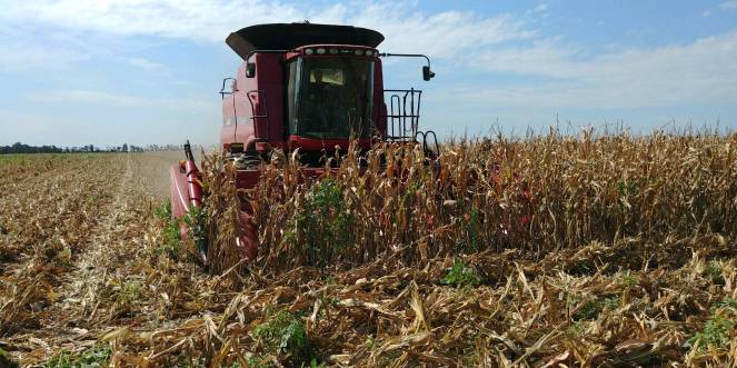 20180829_112856_Burst01[1]