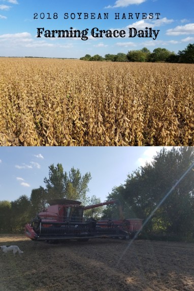 Farming Grace Daily (3)