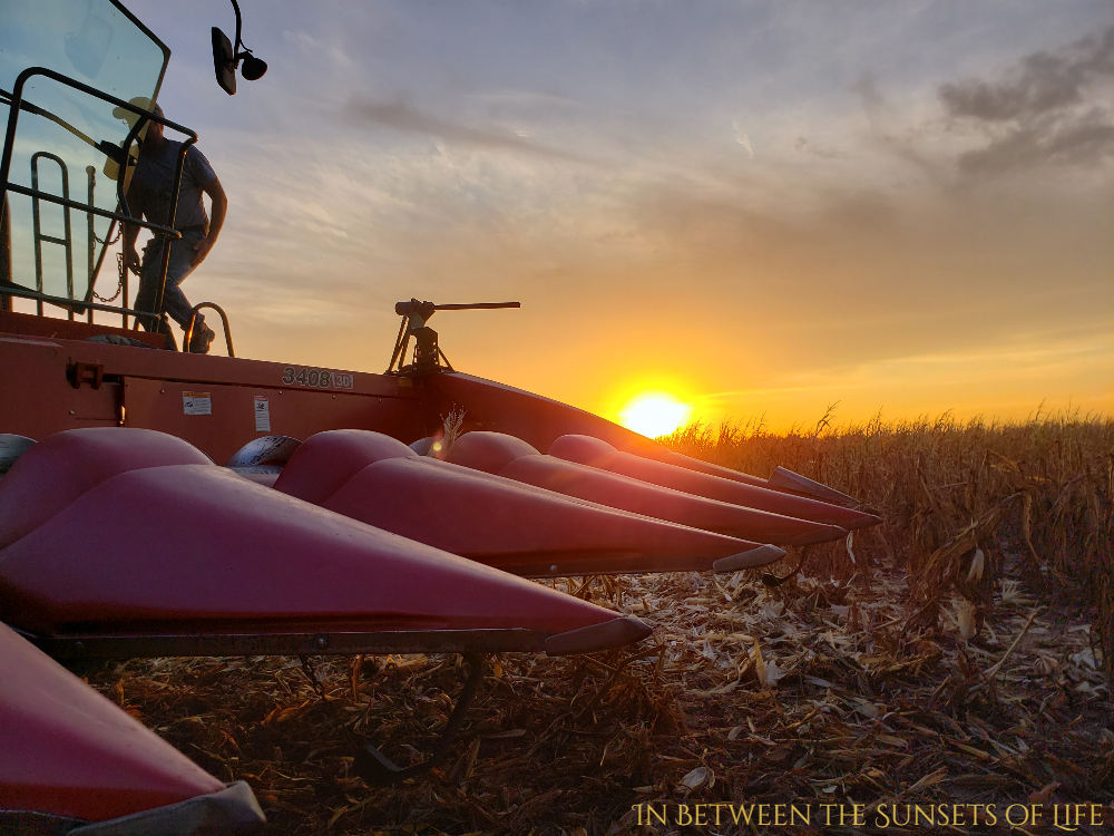 Sunset on the Horizon. Corn Harvest 2019. Case IH