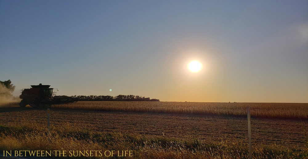 Soybean Harvest 2019 Kansas